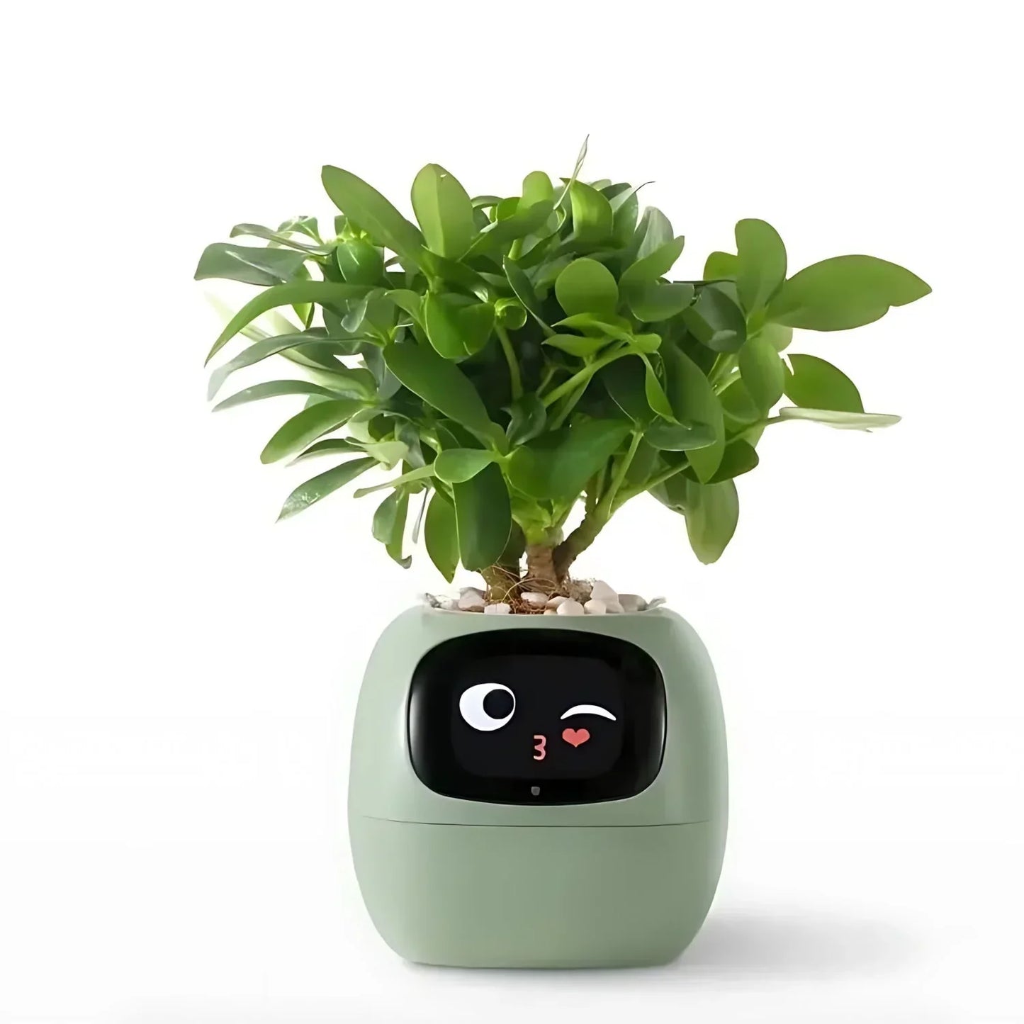 LumiPlant Smart | Automatische bloempot met bewateringssysteem & LED-licht