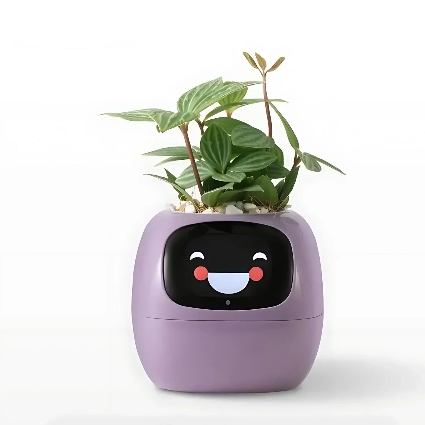 LumiPlant Smart | Automatische bloempot met bewateringssysteem & LED-licht