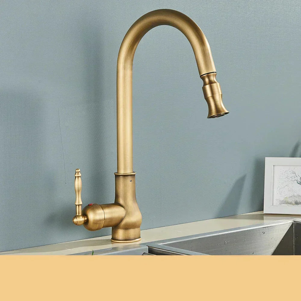 Aqualis – Keukenkraan met Uittrekbare Douche | Retro-Design in Zwart-Goud